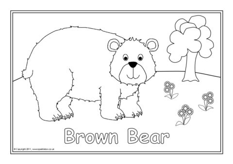 Bears louring sheets sb