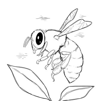 Page bee coloring pages printable vectors illustrations for free download
