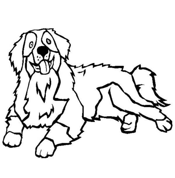 Bernese mountain dog coloring page color luna dog coloring page dog line art puppy coloring pages