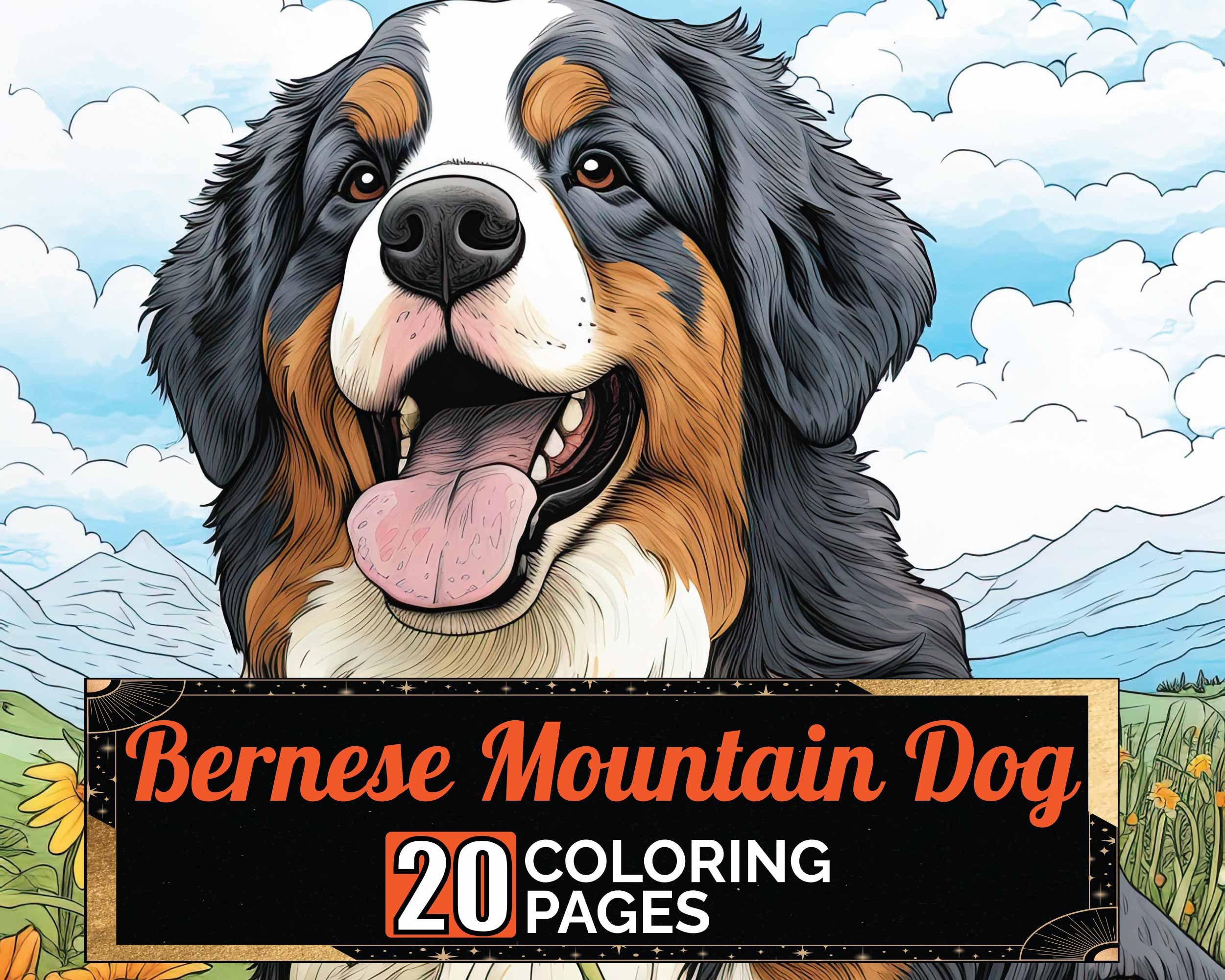 Bernese mountain dogs outdoors coloring pages premium coloring sheets coloring book a size printable digital pdf download dog download now