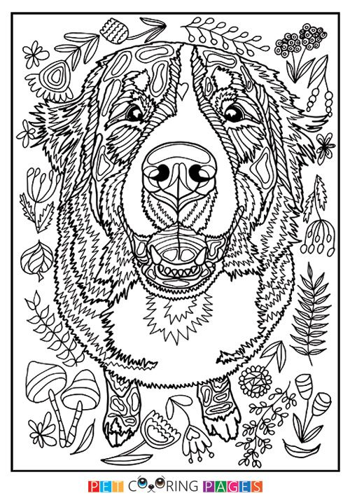 Pin van cammie fulk op coloring for peace kleurpotloodtekeningen honden drawing