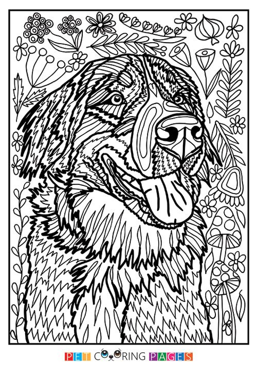 Pin by lisa herrington on coloring pages dog coloring page dog coloring book coloring books