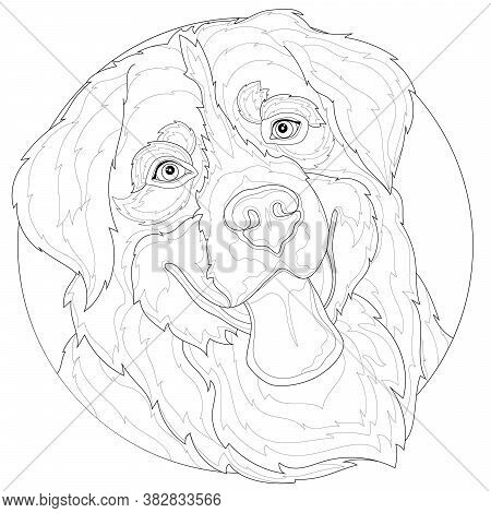 Beautiful dog shows vector photo free trial bigstock