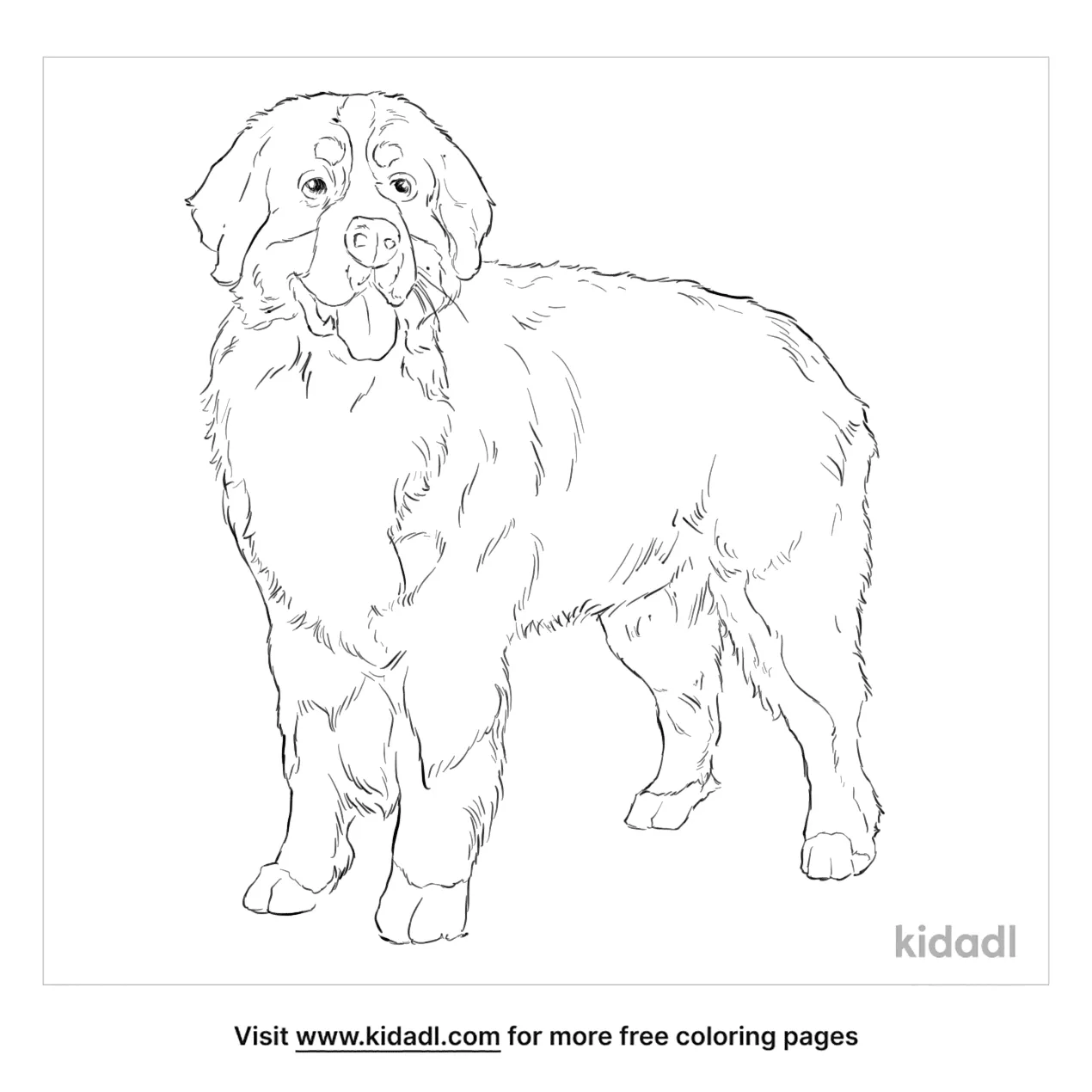 Free swiss burmese mountain dog coloring page coloring page printables