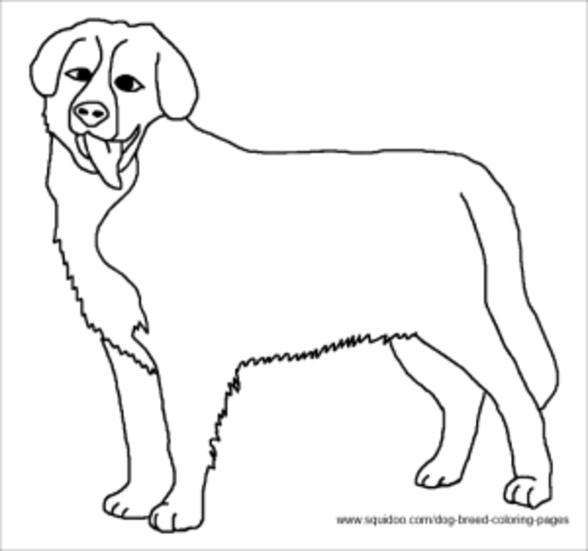 Dog breed coloring pages