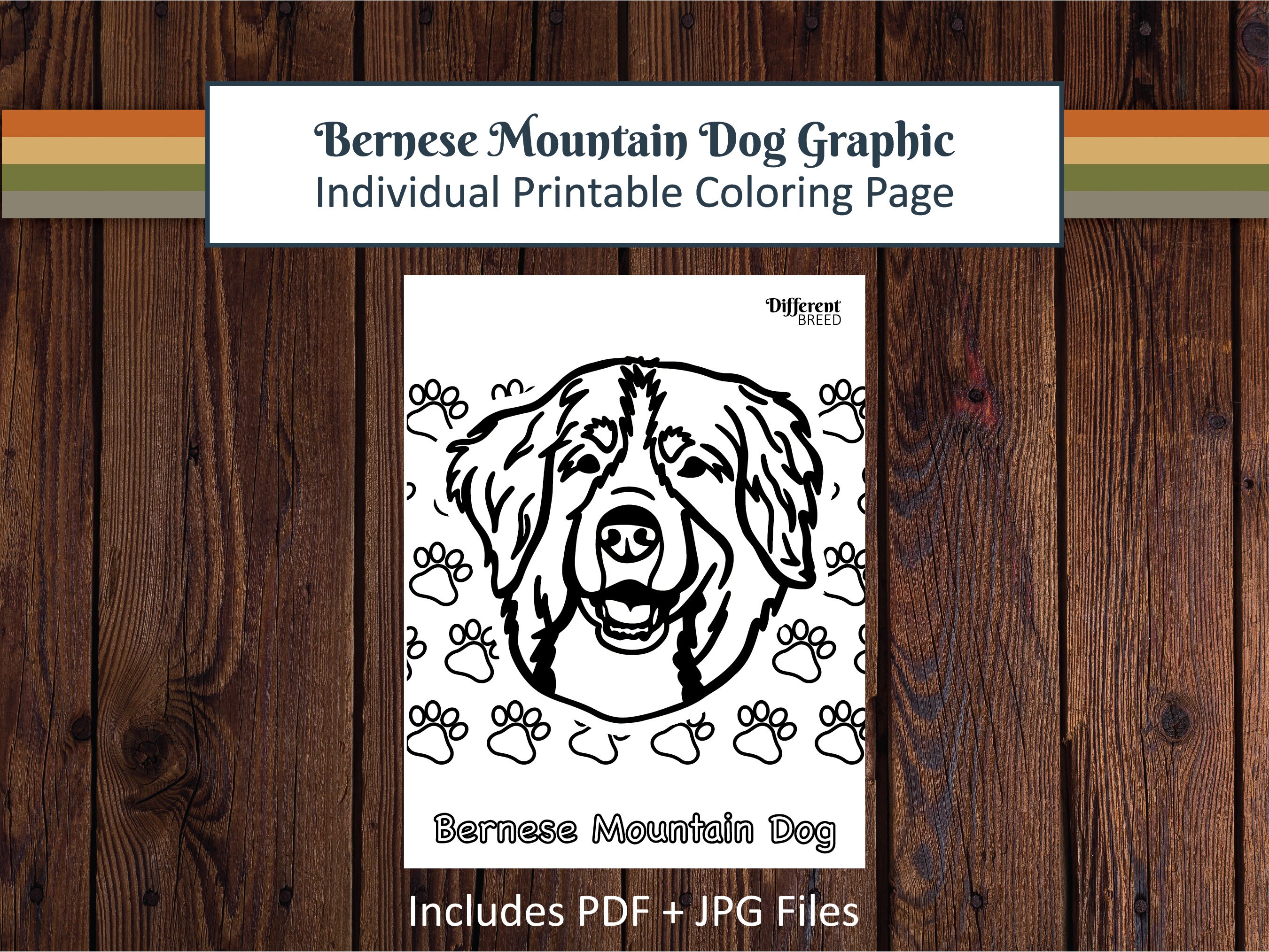 Printable coloring page coloring page dog coloring page bernese mountain dog graphic bernese mountain dog coloring page