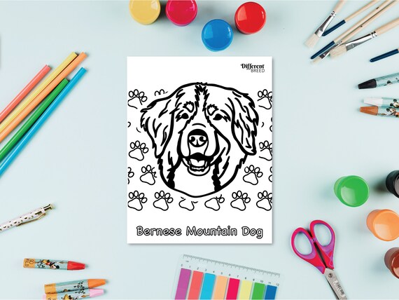 Printable coloring page coloring page dog coloring page bernese mountain dog graphic bernese mountain dog coloring page