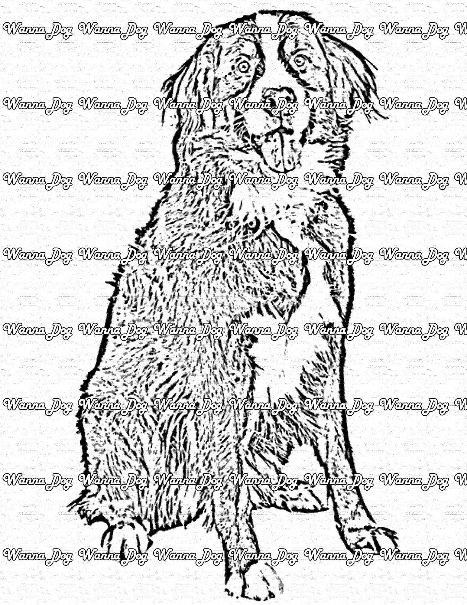 Bernese mountain dog coloring pages â wanna dog