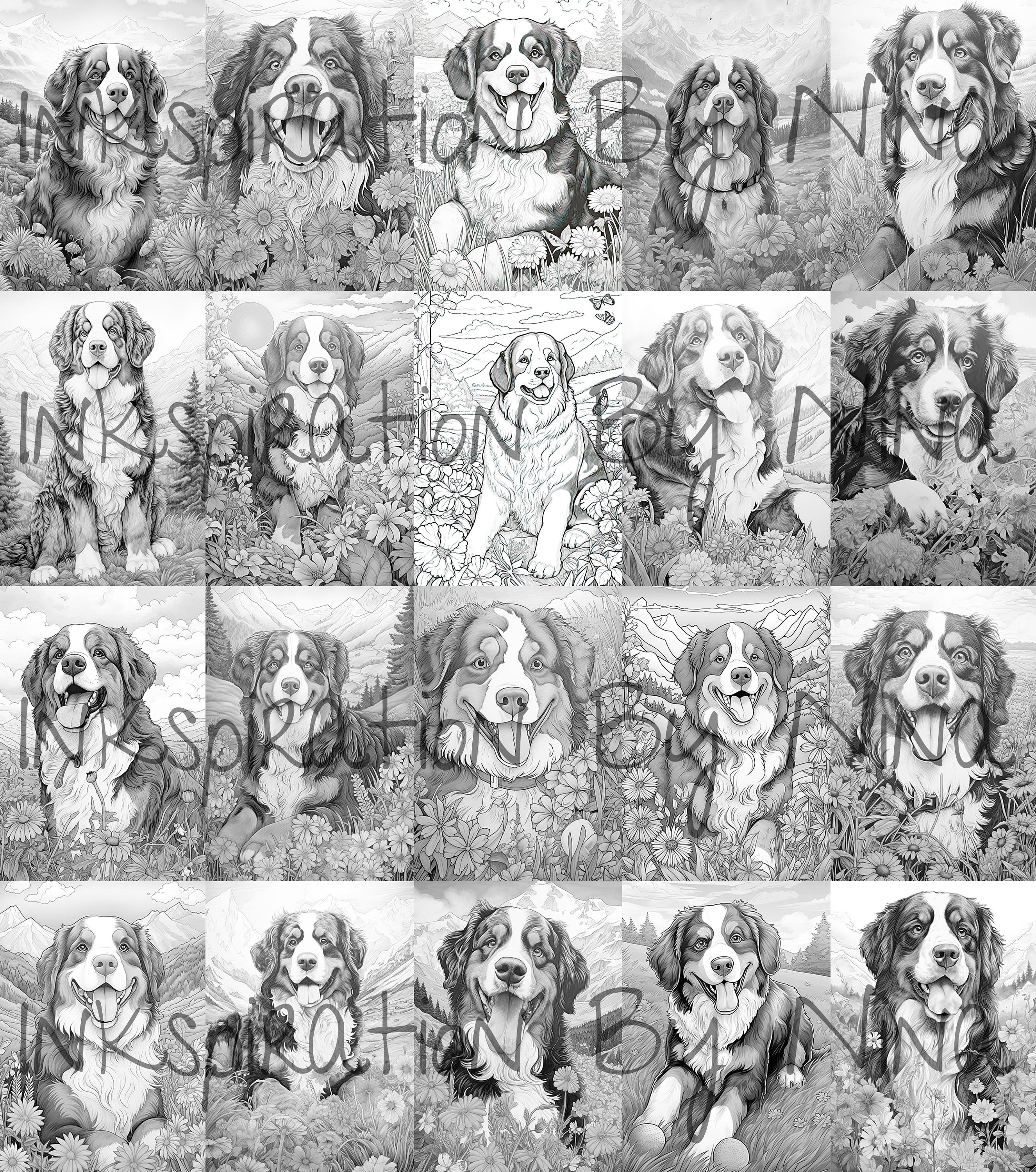 Bernese mountain dogs outdoors coloring pages premium coloring sheets coloring book a size printable digital pdf download dog download now