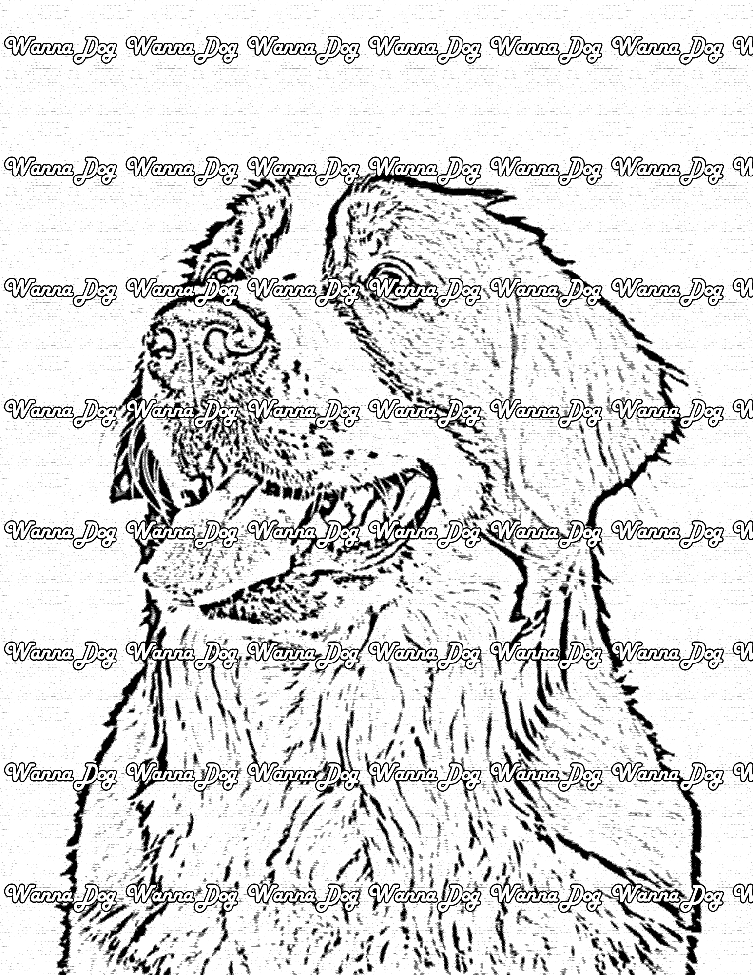 Bernese mountain dog coloring pages â wanna dog