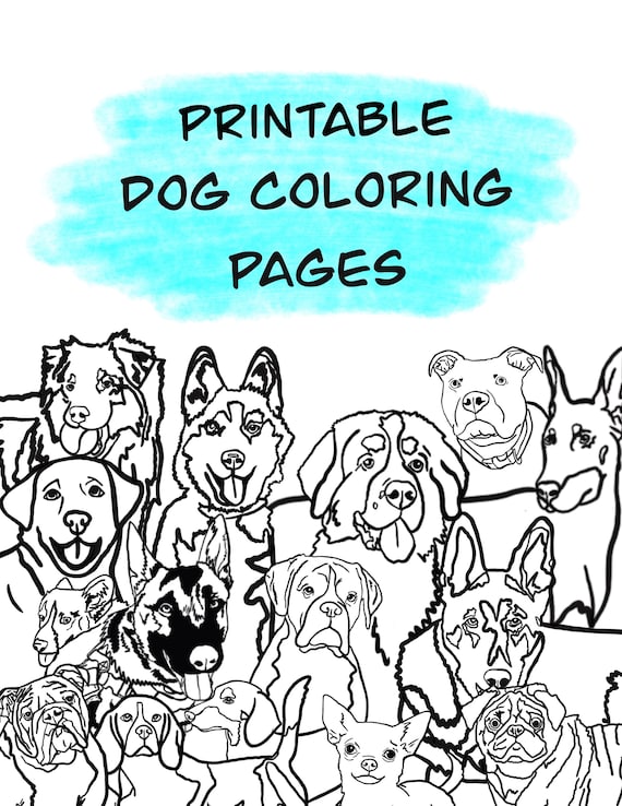 Downloadable dog coloring pages pitbull coloring pages bernese mountain dog coloring page chihuahua coloring page pug doberman pages