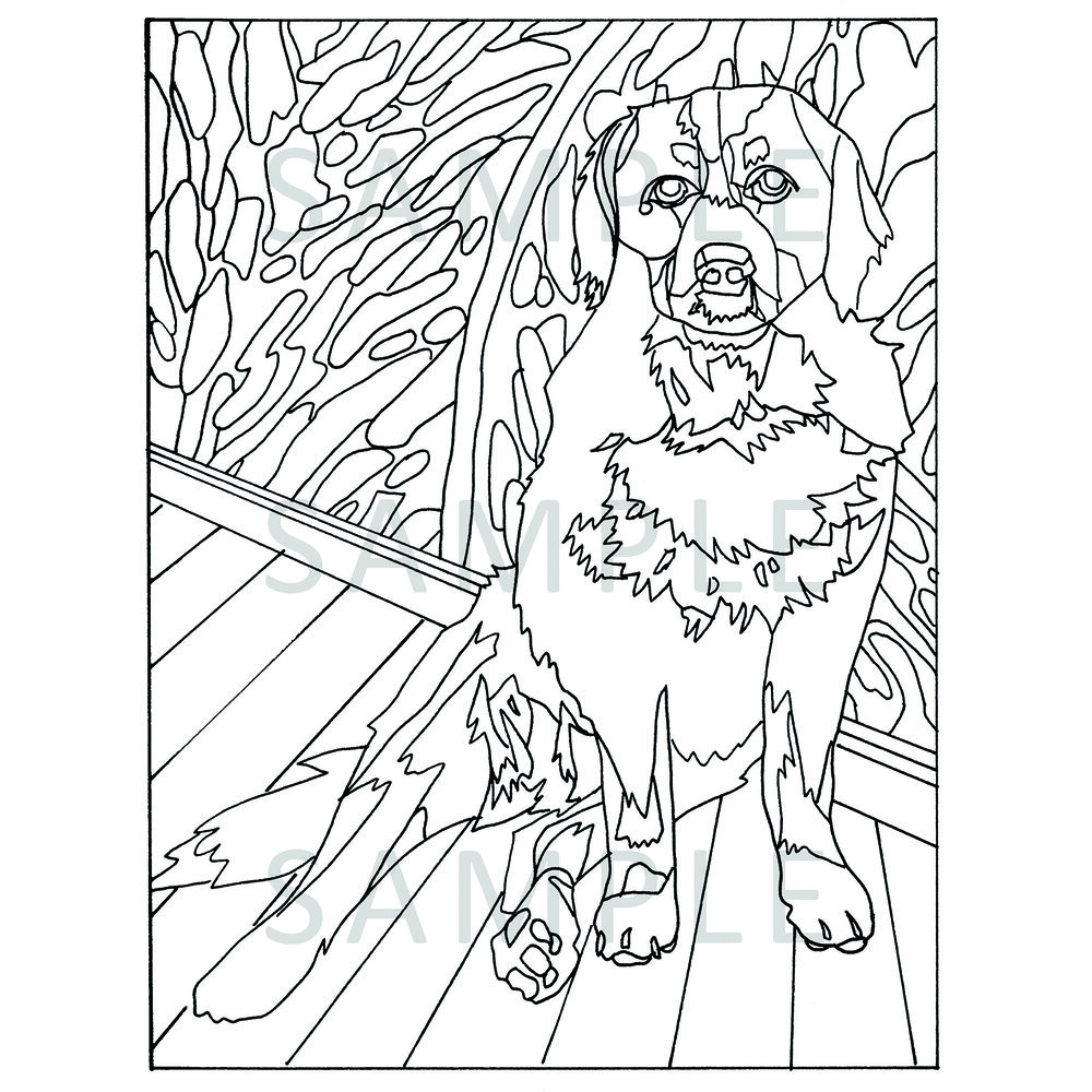 Bernese mountain dog â benevolent hound