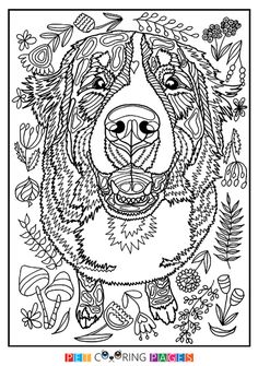 Sergio mia stella ideas dog coloring page bernese mountain dog dog coloring book