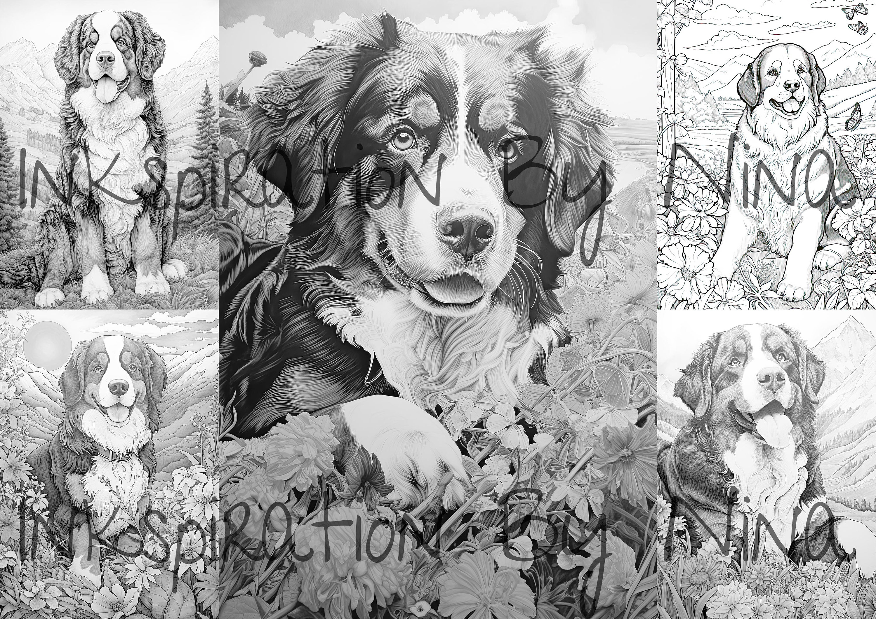 Bernese mountain dogs outdoors coloring pages premium coloring sheets coloring book a size printable digital pdf download dog download now