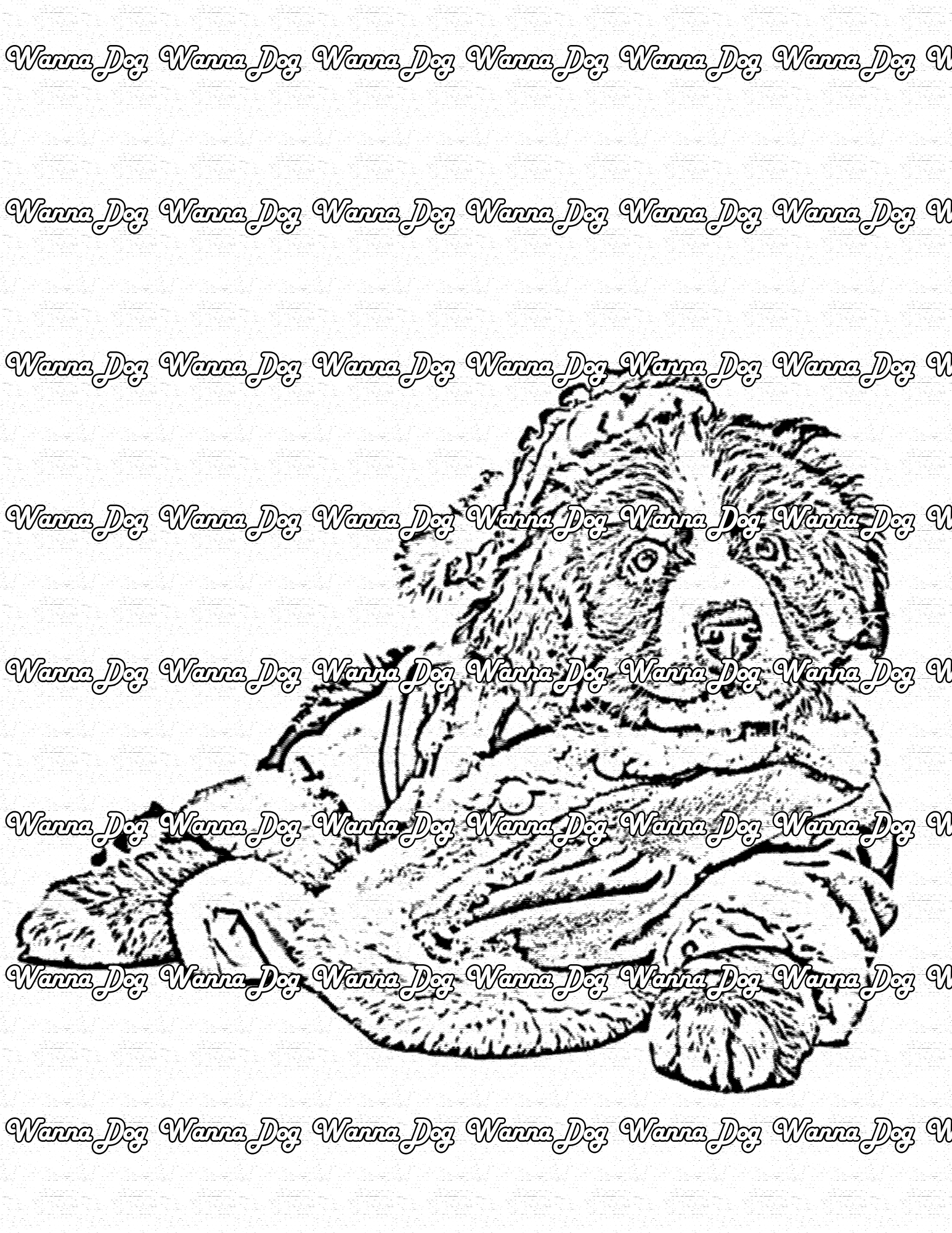Bernese mountain dog coloring pages â wanna dog