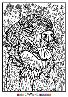 Sergio mia stella ideas dog coloring page bernese mountain dog dog coloring book