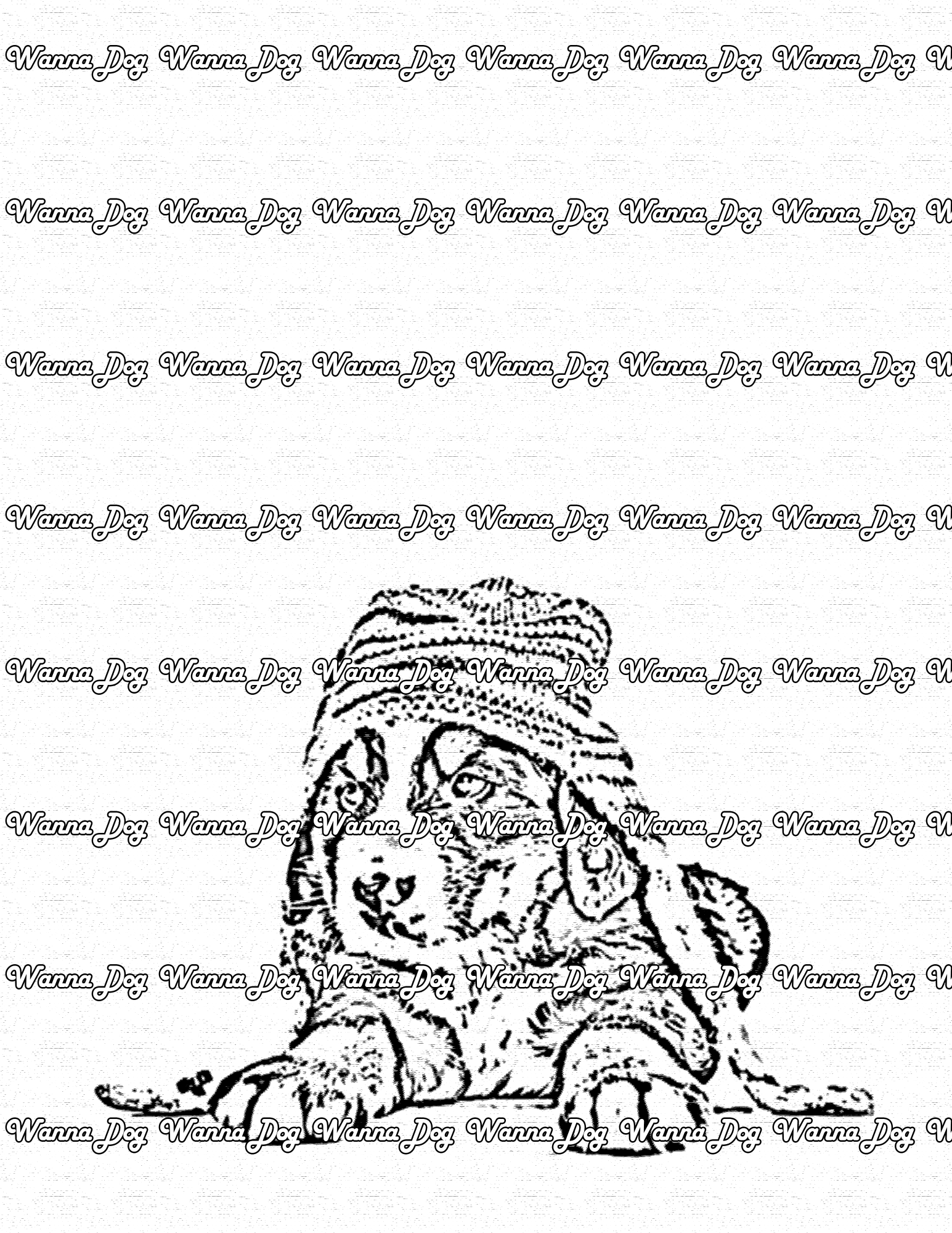 Bernese mountain dog coloring pages â wanna dog