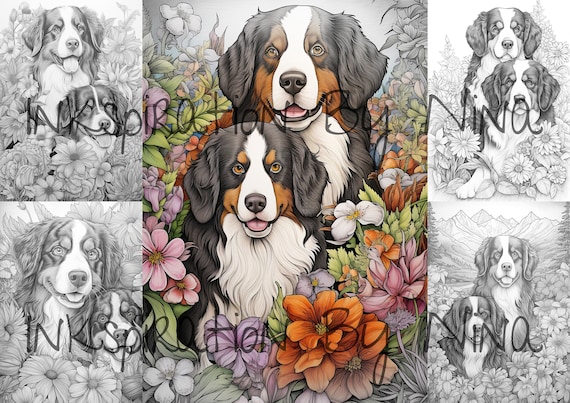 Buy two bernese mountain dog in flowers coloring pages premium coloring sheets coloring book a size printable digital pdf download dog online in india