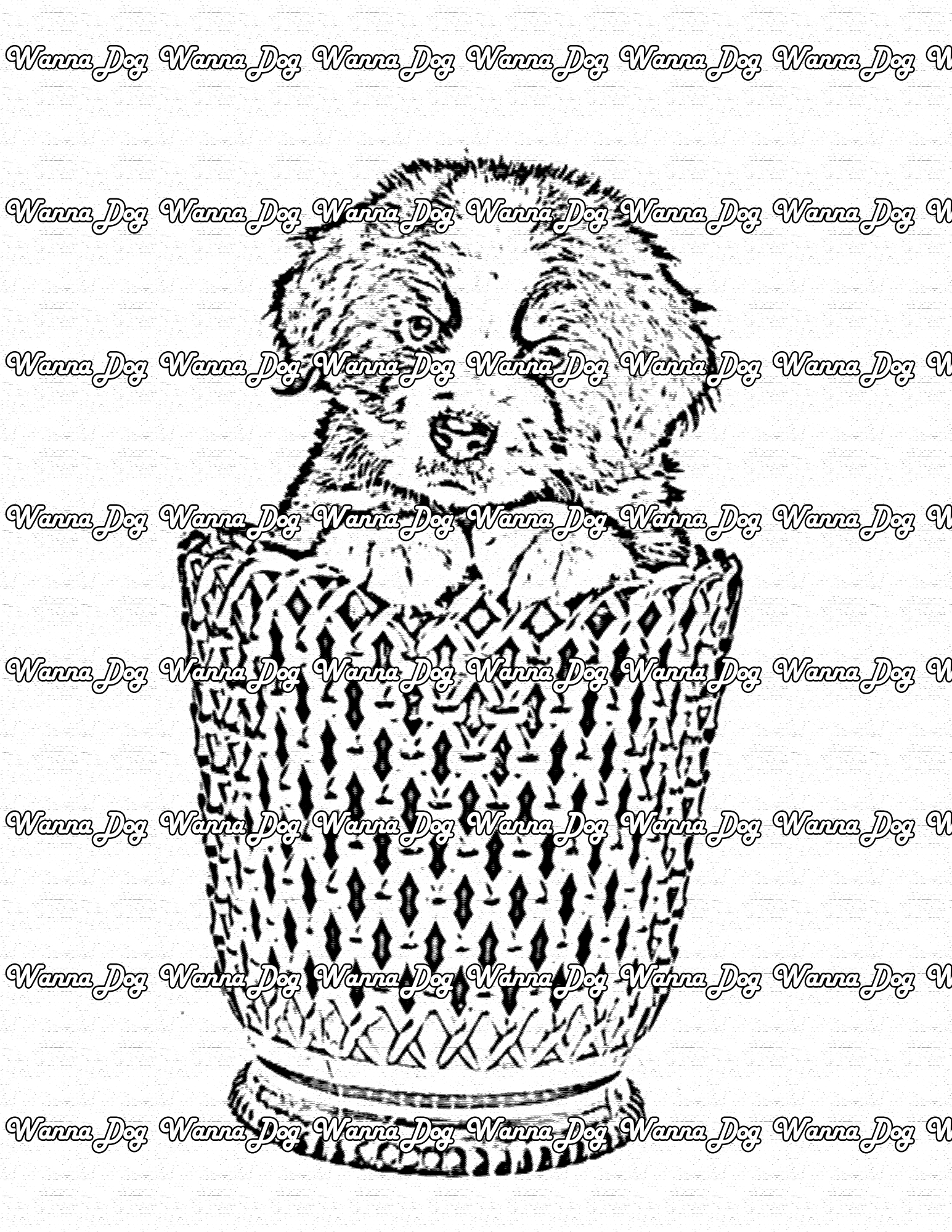 Bernese mountain dog coloring pages â wanna dog