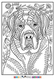 Sergio mia stella ideas dog coloring page bernese mountain dog dog coloring book