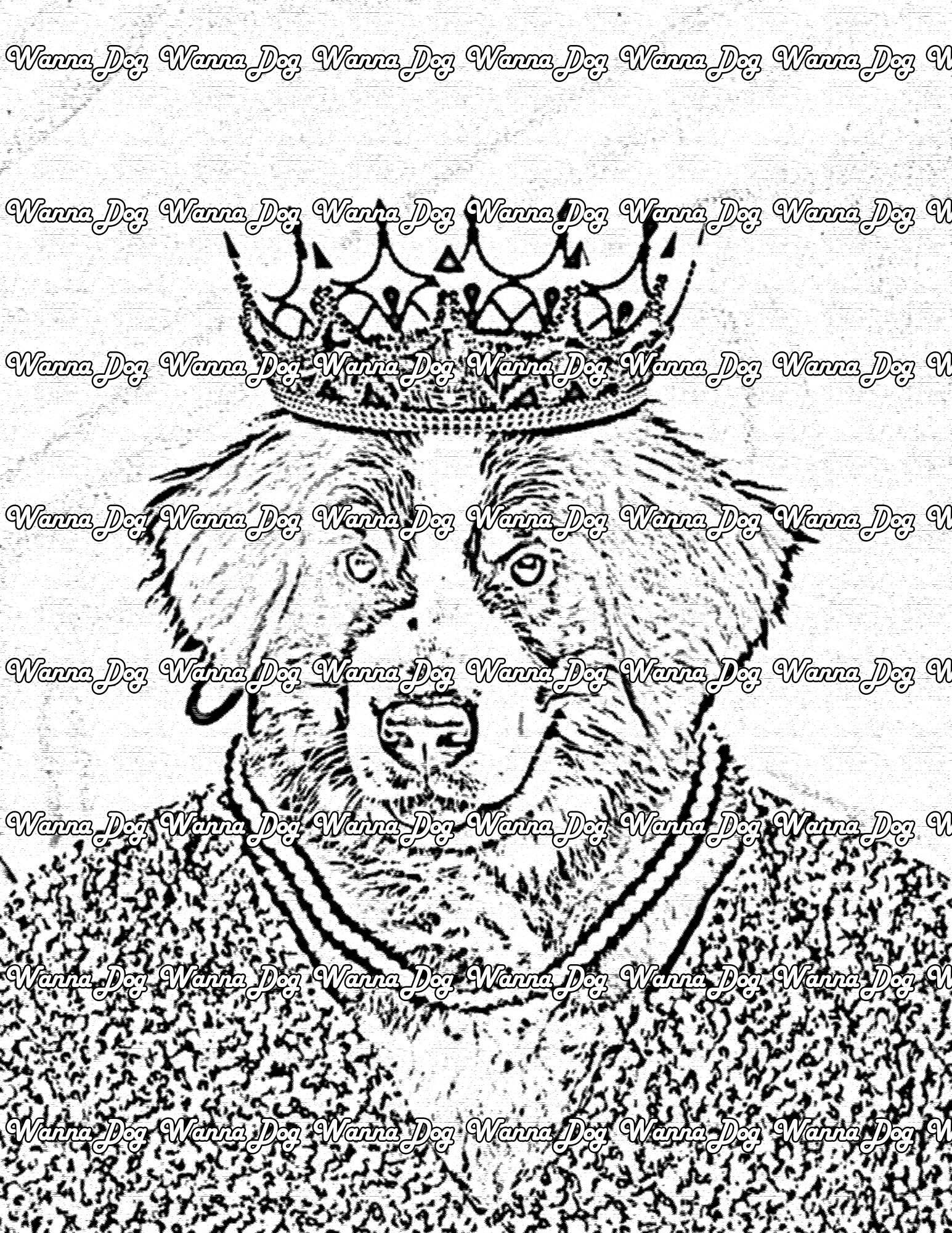 Bernese mountain dog coloring pages â wanna dog