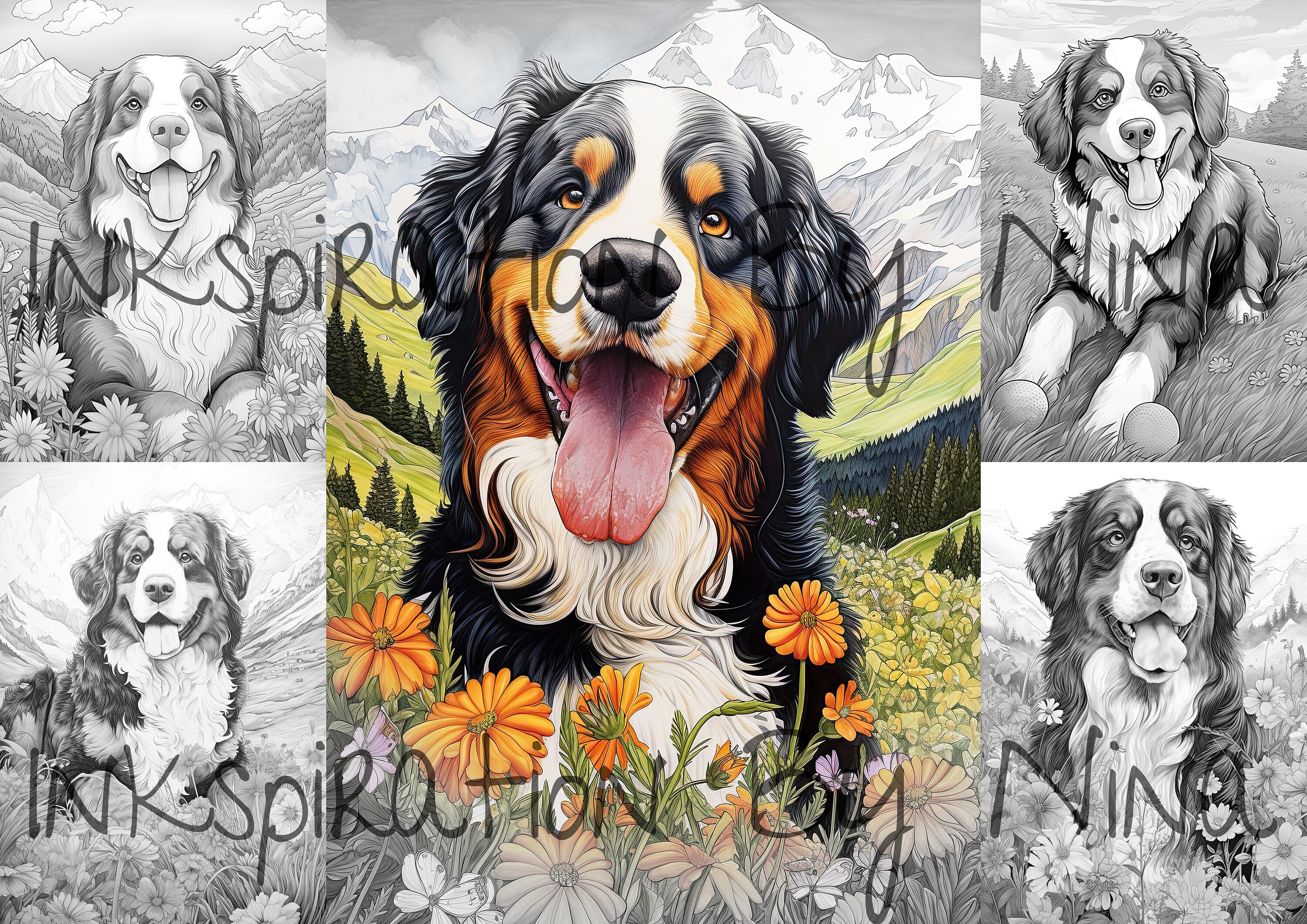 Bernese mountain dogs outdoors coloring pages premium coloring sheets coloring book a size printable digital pdf download dog download now