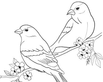 Birds printable coloring sheet coloring pages kids coloring pages kids summer activity birds pictures