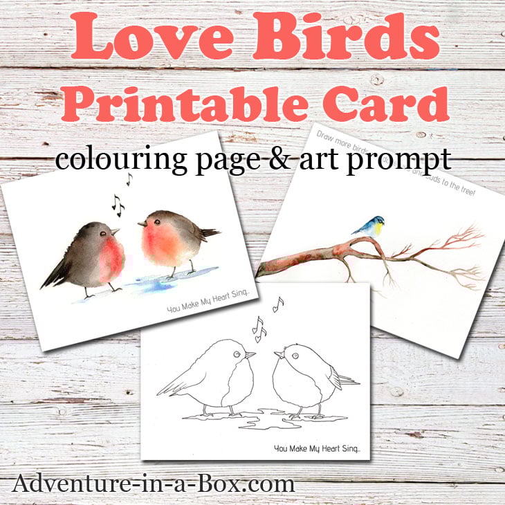Love birds free printable card colouring page art prompt adventure in a box
