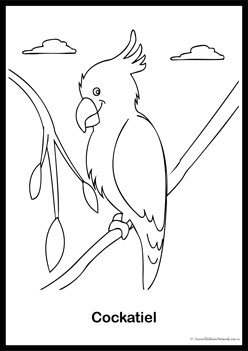 Stralian birds colouring pages
