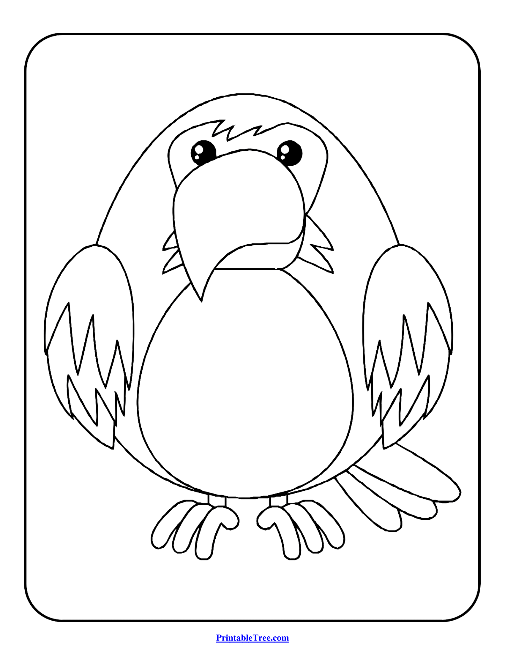 Free printable bird coloring pages pdf for kids and adults