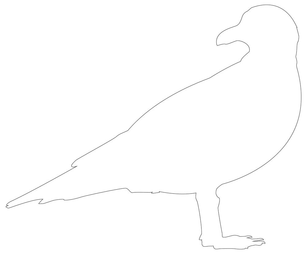 Perfect bird outline