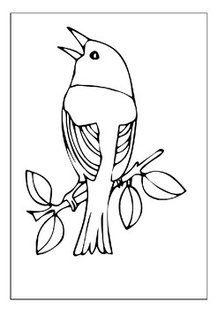 Explore the diversity of birds with printable coloring pages for kids adults