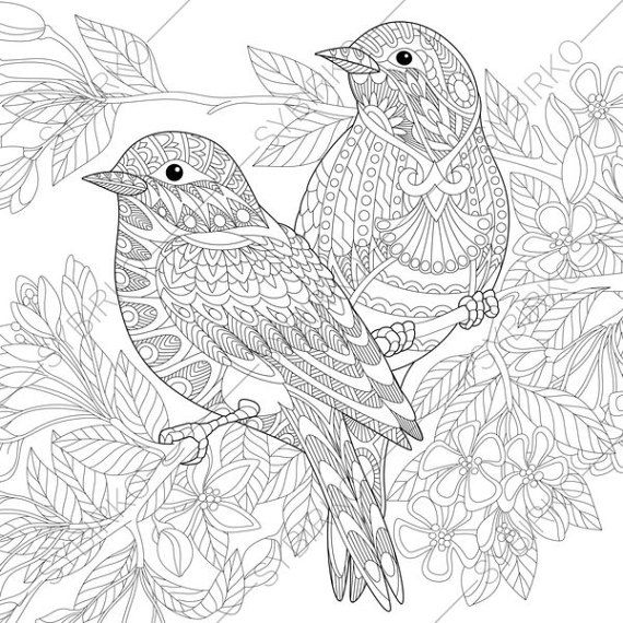 Lovely birds coloring pages coloring book for adults and kids mandala coloring bundle printable pdf coloring book instant download