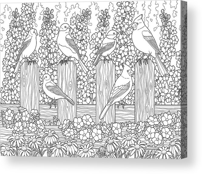 Birds in flower garden coloring page acrylic print by crista forest
