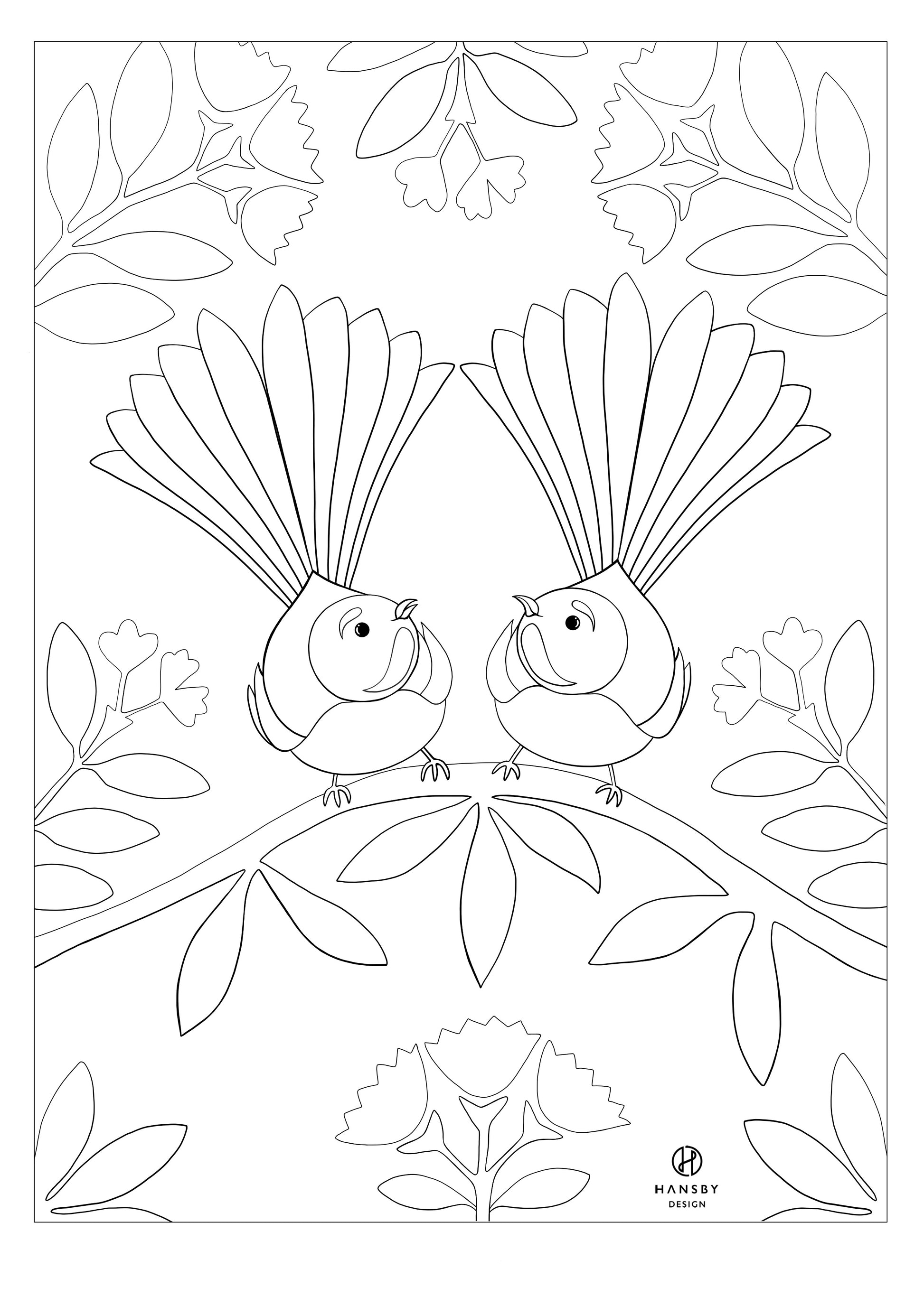 Fantail colouring printable â hansby design