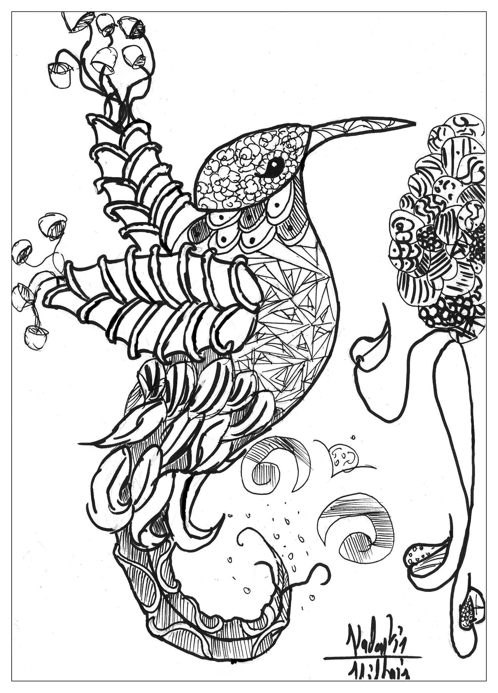 Animals bird valentin