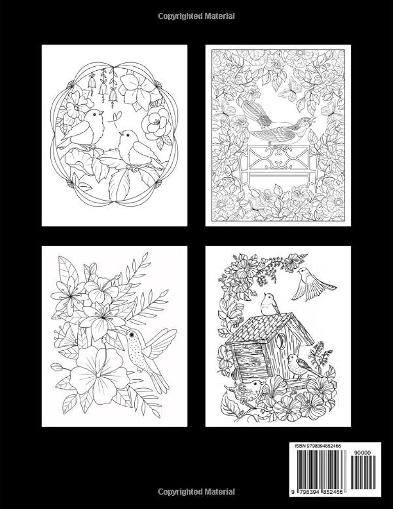 Easy large print birds coloring book for adults an bold and easy mindfulness relaxation and stress relief for bird lovers large print adult coloring books leoy cico books