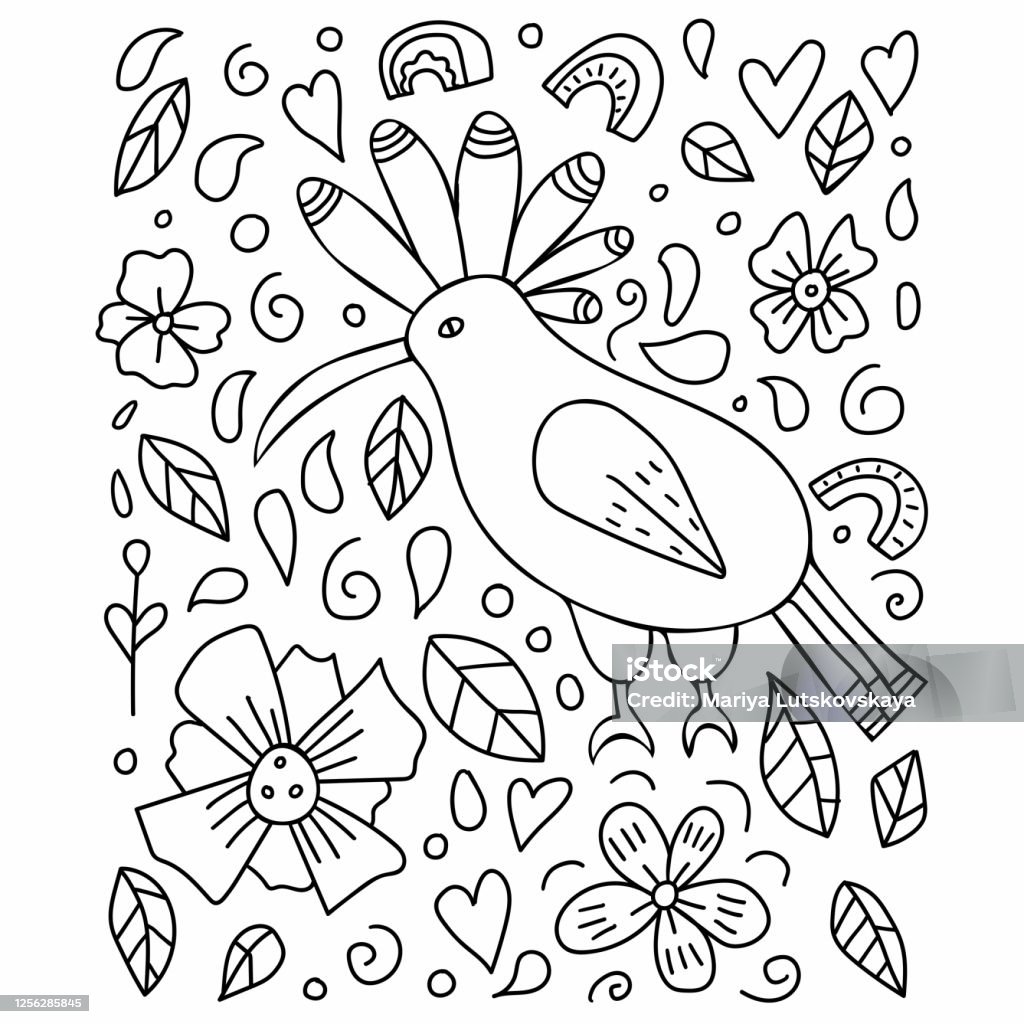Hoopoe coloring book cute doodle bird character for kids tshirt print or poster hand drawn outline vector illustration wild animal on botanical background stock illustration