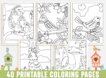 Bird coloring pages