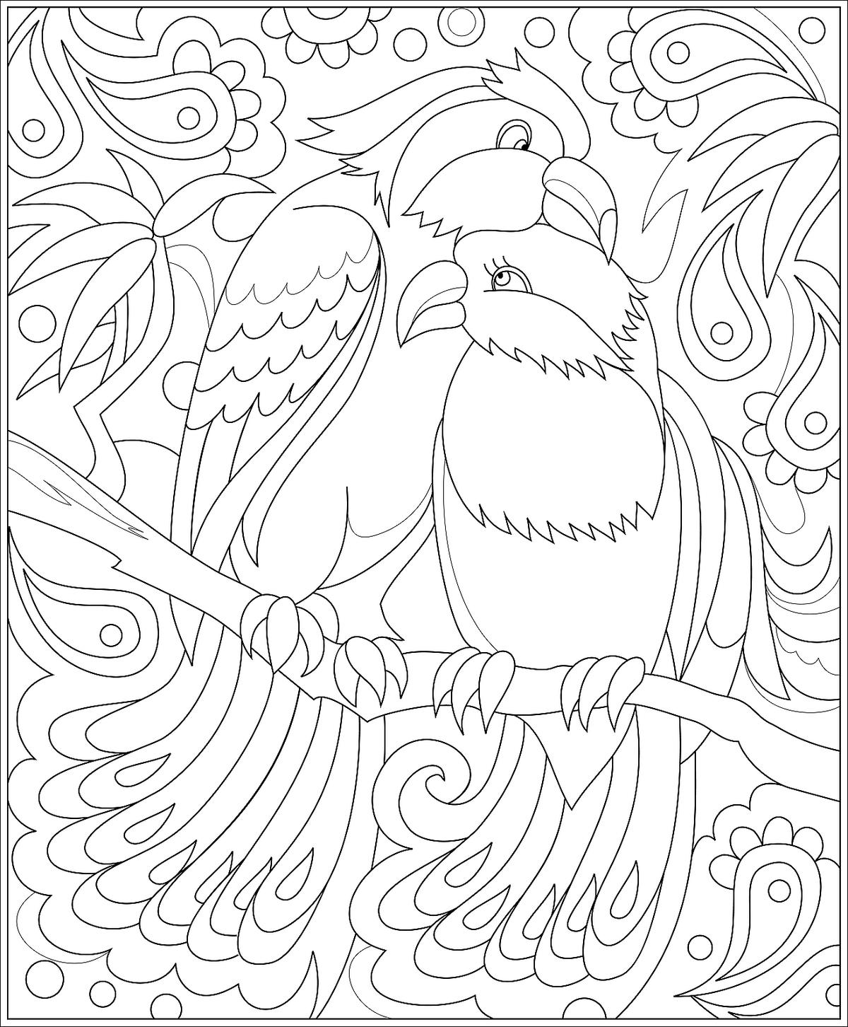 Bird coloring pages free fun printable coloring pages of our fine feathered friends printables mom