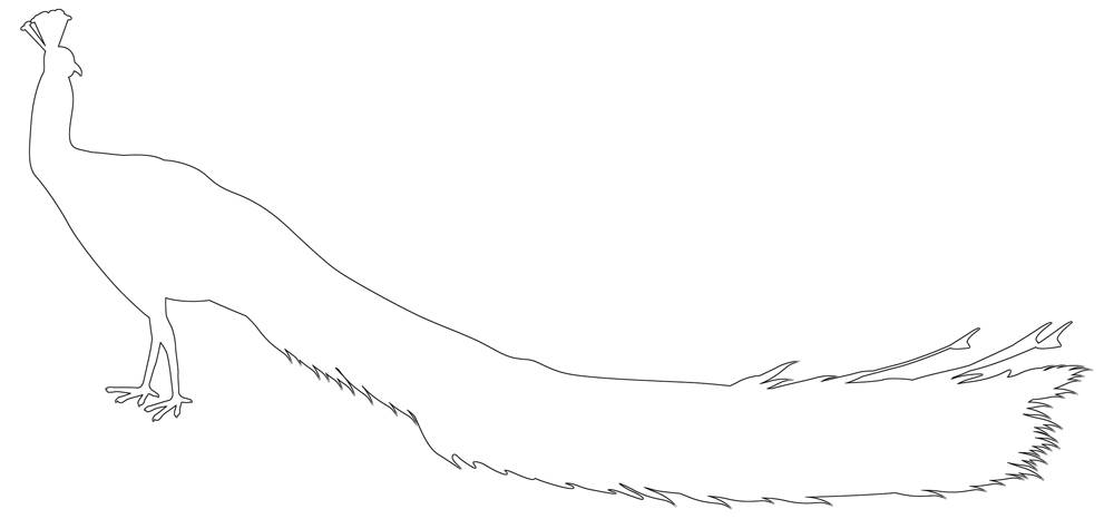 Parrot outline