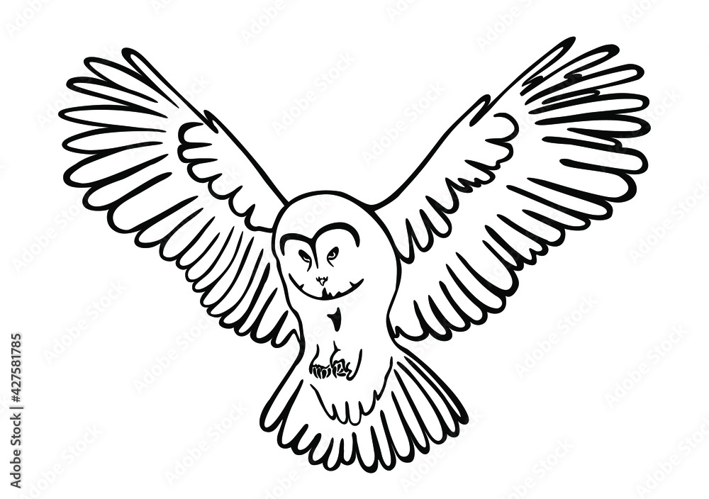 Vector black flying owl bird stencil outline silhouette clipart line art drawing illustration isolated on whiteplotter cuttinglaser cutvinyl wall sticker decal diy coloring booktattooprinticon vector