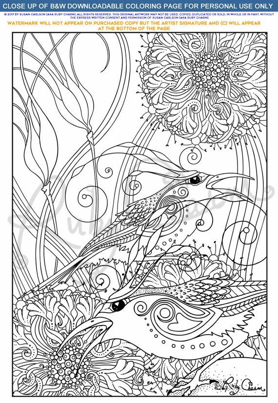 Sun birds downloadable printable adult coloring page pdf