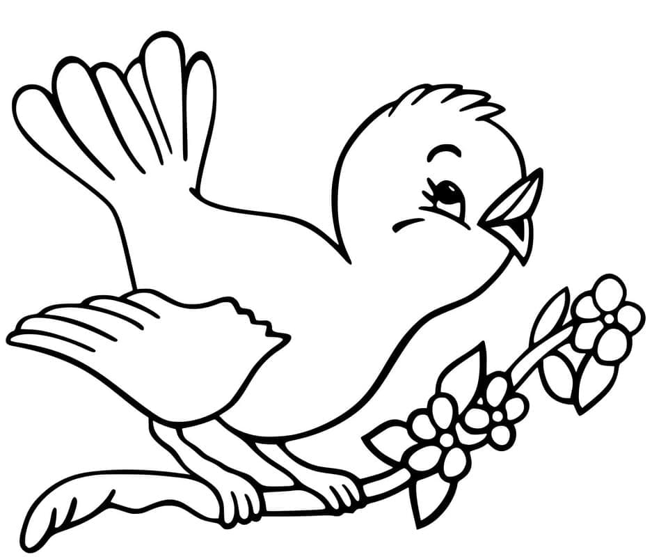 Printable cute bird coloring page