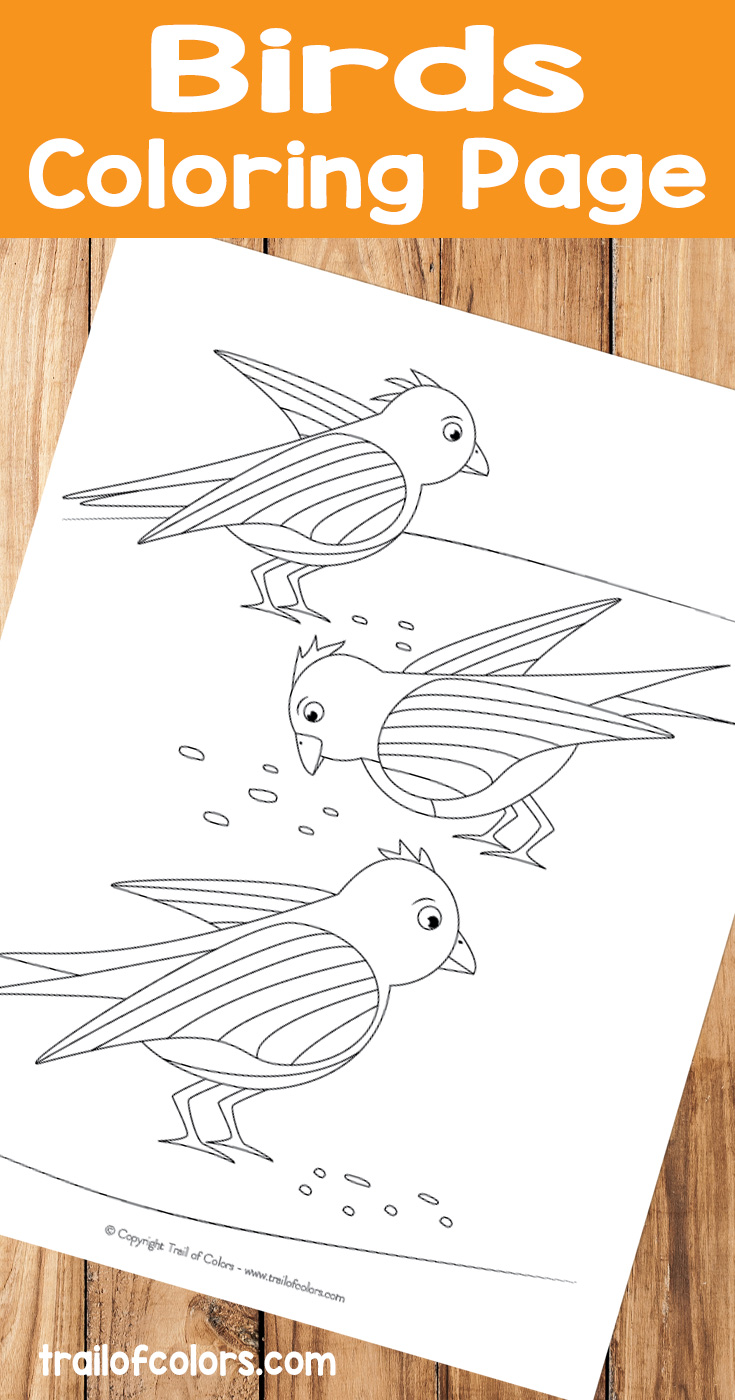 Birds coloring page for kids