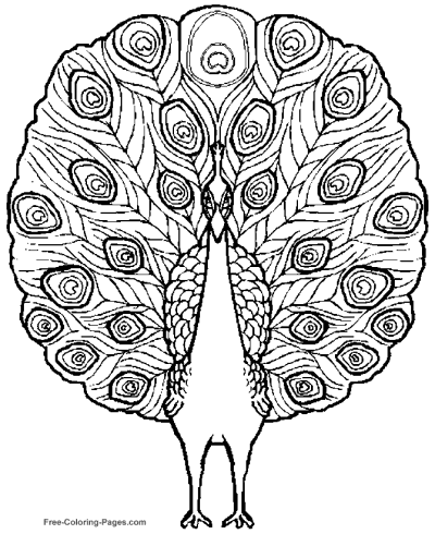 Coloring pages of birds