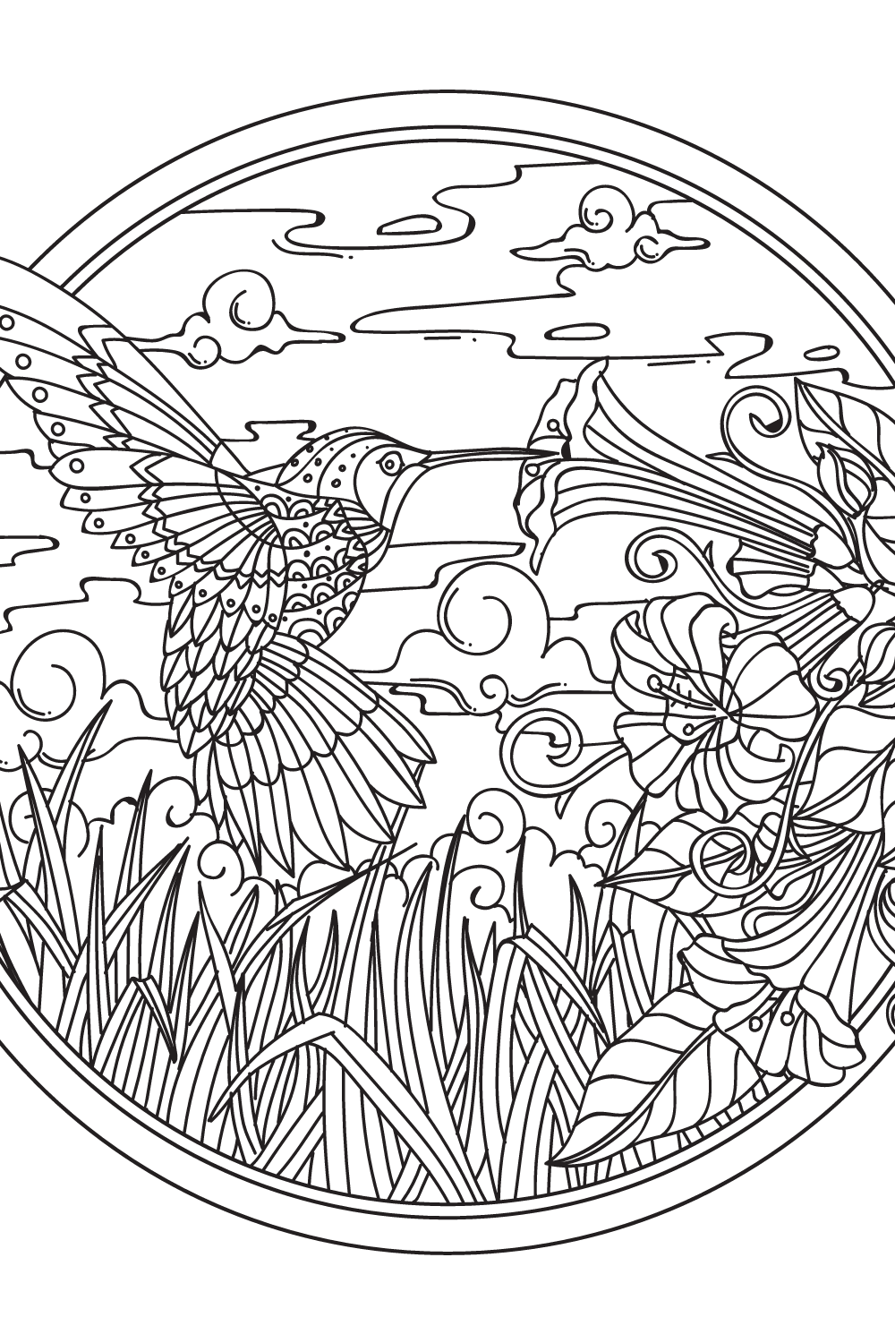Bird coloring pages for kids and adults