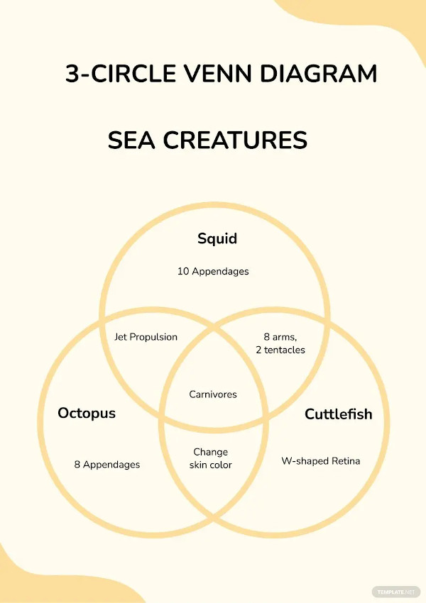 Circle venn diagram s