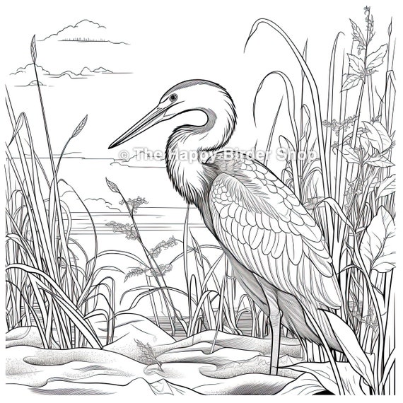 Blue heron coloring page bird printable nature art therapy stress relief adult coloring pages great blue heron instant download