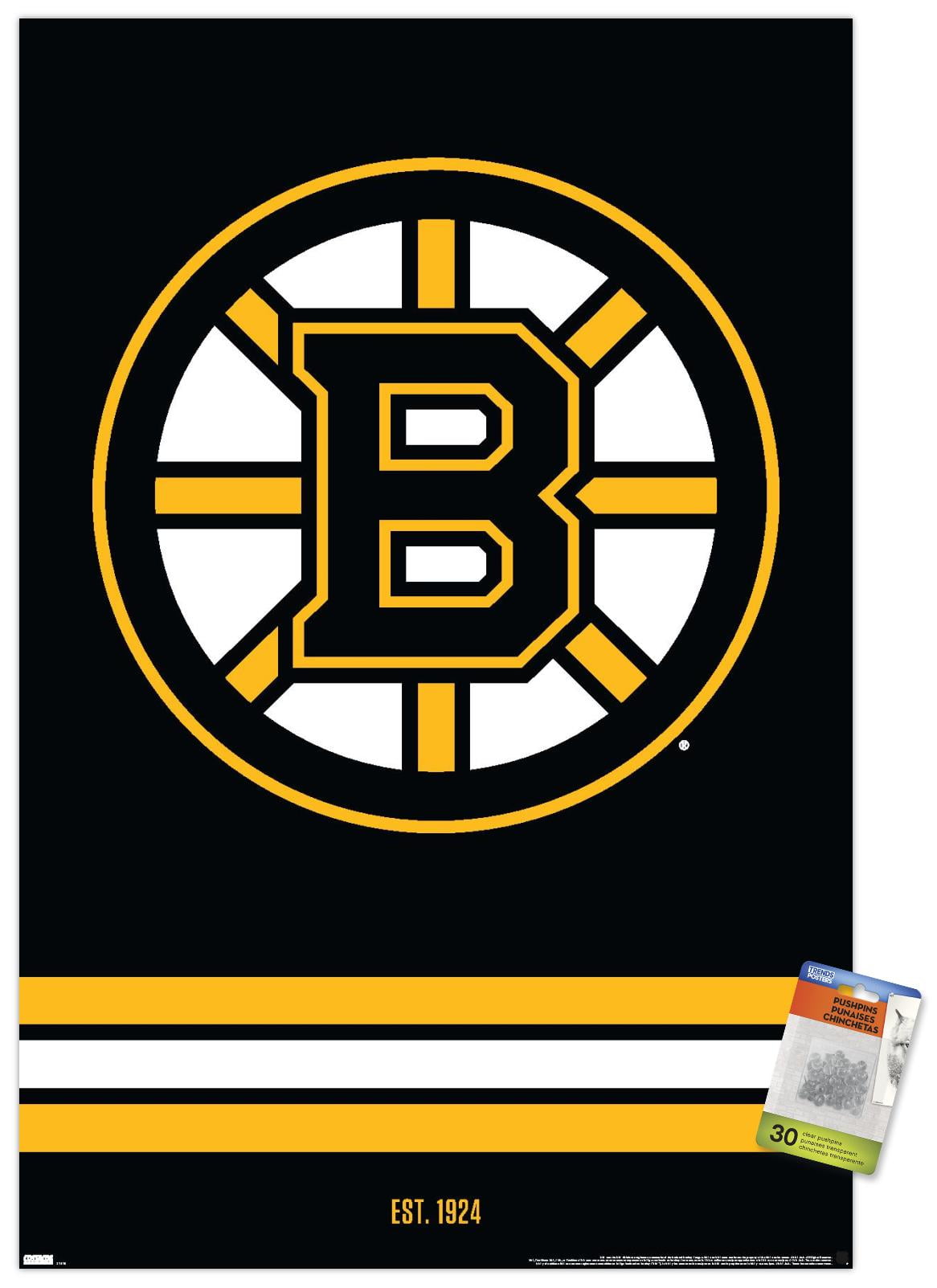 Nhl boston bruins